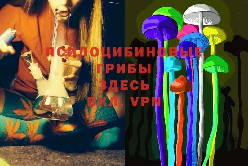 Галлюциногенные грибы Cubensis Владимир